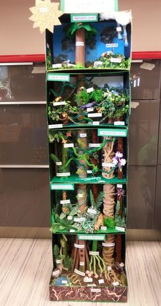 Biomes Classroom Display, Amazon Rainforest Activities, Rainforest Habitat Projects For Kids, Rainforest Diorama, Pokémon Christmas, Plant Presentation, Rainforest Crafts, Rainforest Project, Rainforest Activities