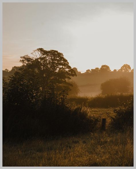 Missing autumn in the countryside 🍂🍁 #englishcountryside #countryside #england #countrysidewalk #countrysidewalks #britishcountryside #goldenhourlight #autumnvibes #autumnmood #cottagecore #bbccountryfile English Countryside Autumn, Cottagecore Autumn, Uk Countryside, British Countryside, Amazing Views, English Countryside, Fall Vibes, Golden Hour, England