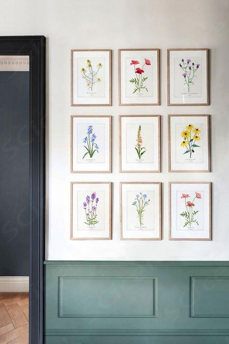 Framed botanical prints