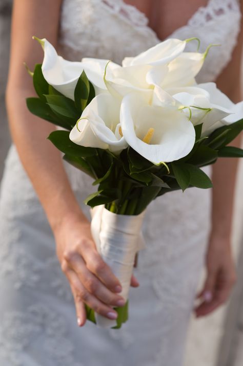 White calla lilies Calalilly Bouquet, Cala Lily Bouquets, White Calla Lily Bouquet, Calla Flower, Lily Centerpieces, Calla Lily Bridal Bouquet, Lily Bridal Bouquet, White Calla Lilies, Calla Lily Bouquet Wedding