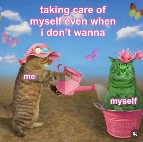 Ovulation Aesthetic, Happy Mood Aesthetic, Wellness Memes, Wise Aesthetic, Humor Aesthetic, Friday Aesthetic, Healing Aesthetic, Positive Aesthetic, Taking Care Of Myself