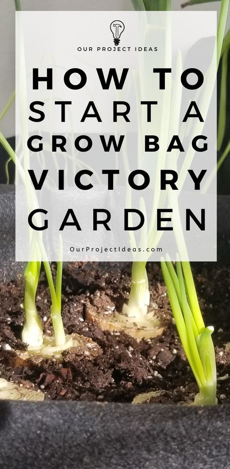 How To Start A Grow Bag Victory Garden Garden Prepping, Kitchen Scraps, Vegetable Garden Diy, Victory Garden, Seed Starter, Grow Bags, Indoor Gardening, Growing Indoors, Potting Soil