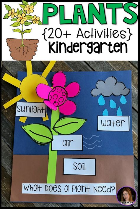 Are you looking for a fun, hands-on and engaging plant unit that incorporates writing, literacy skills and science? Plants is perfect for your spring themes. This unit is based around essential questions with vocabulary cards with real pictures, anchor charts to reinforce concepts, labels for sorting, observations, science experiments and fun hands on craftivities that students will love! I have even included a sample lesson plan to demonstrate how to implement the activities. You will find ... Plants Preschool, Plant Cycle, Science Kindergarten, Plants Kindergarten, Plant Lessons, Spring Science, Plant Parts, Planting For Kids, Plants Unit