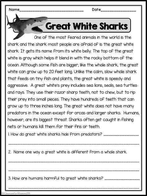 Reading Comprehension Passages - Classroom Freebies Read And Recall Worksheet, Non Fiction Reading Comprehension, Grade 3 Reading Comprehension Passages, Comprehension For Grade 4 With Questions, Comprehension For Class 4, Comprehension For Class 3, Grade 6 Reading Comprehension Worksheets, Grade 4 Reading Comprehension Worksheets, Reading Comprehension Passages Free