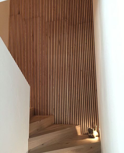 Curved Slat Wall, Plywood Slat Wall, Wood Panels Hallway, Wood Slat Wall Stairs, Slat Wall Stairwell, Wood Slat Stair Wall, Acoustic Panel Design Ideas, Slat Wall Stairs, Wood Cladding Interior Feature Walls