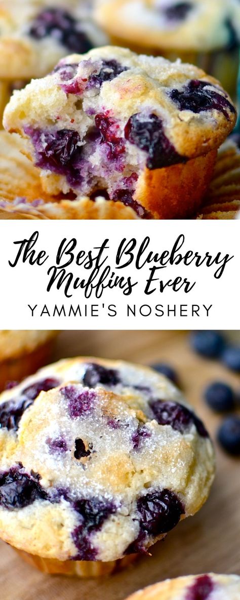 Quick Brunch Ideas, The Best Blueberry Muffins, Dessert Coconut, Quick Brunch, Blueberry Muffin Recipe, Brunch Dessert, Best Blueberry Muffins, Blueberry Desserts, Slow Cooker Desserts