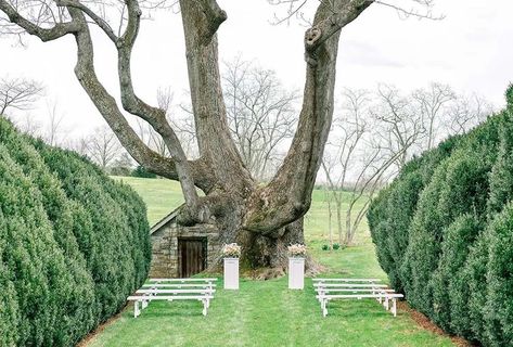 10 Small Wedding Venues Virginia Micro Wedding Venues, Small Wedding Venues, Virginia Wedding, Small Wedding Venues Ontario, Virginia Wedding Venues Inexpensive, Small Intimate Wedding Venues, Wedding Venues West Virginia, Williamsburg Wedding Virginia, Small Family Wedding