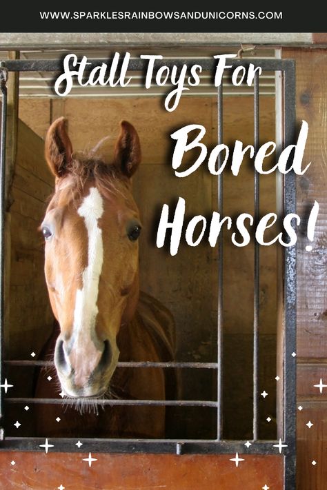 Stall Boredom Toys Diy, Horse Stall Toys Diy, Horse Stall Accessories, Horse Enrichment Ideas Diy, Horse Boredom Busters Diy, Diy Horse Stalls Toys, Diy Horse Boredom Toys, Diy Toys For Horses, Horse Stall Enrichment