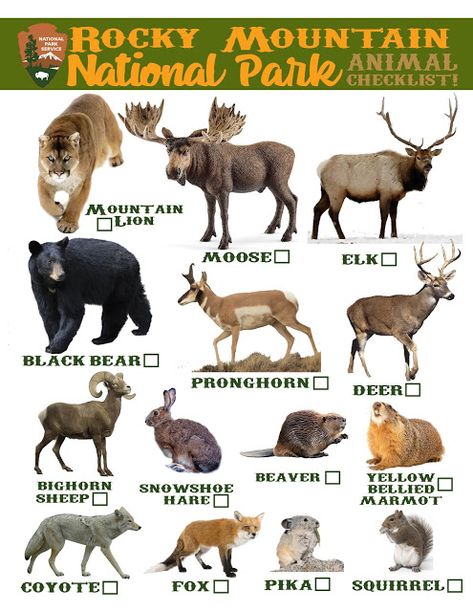 Rocky Mountain National Park Animal Checklist Travel Tips and Tricks! Rocky Mountain National Park Hikes, Denver Trip, Mountain Animals, Checklist Travel, 2023 Vacation, Travel Tips And Tricks, Iowa Farms, Rocky Mountain National Park Colorado, 2024 Travel