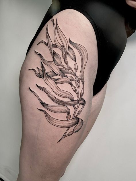 Marine Plants Tattoo, Austrian Tattoo Ideas, Giant Kelp Tattoo, Sealife Tattoo Sleeve, Ocean Filler Tattoo Ideas, Seagrass Tattoo, Kelp Tattoo Seaweed, Kelp Forest Tattoo, Sea Plants Tattoo