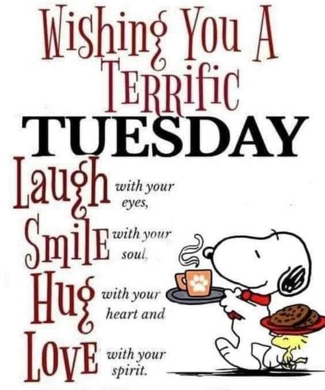 Positive Wishes For A Terrific Tuesday Pictures, Photos, and Images for Facebook, Tumblr, Pinterest, and Twitter Happy Tuesday Gif, Tuesday Gif, Tuesday Quotes Funny, Good Morning Tuesday Images, Tuesday Quotes Good Morning, Tuesday Greetings, Terrific Tuesday, Good Morning Snoopy, Happy Tuesday Quotes