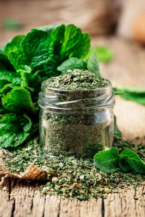 How to Store Mint: Storing, Drying, and Freezing | Montana Happy Herb Salt Recipe, Watermelon Soup, Freezing Fresh Herbs, Drying Mint Leaves, Growing Mint, Preserving Herbs, Apple Mint, Mint Sauce, Mint Plants