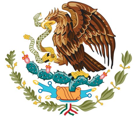 Mexican american flag