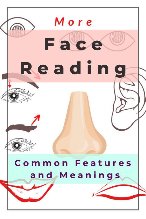 More Chinese face reading - 12 common face features and meanings Chinese Face Reading, Reading Body Language, Body Chart, Human Body Temperature, Basic Chinese, Reading Psychology, Reading Charts, Face Mapping, Face Reading