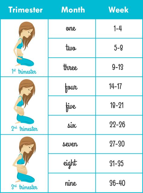 How To Calculate Pregnancy Weeks And Months Accurately? Weeks To Months Pregnant, Pregnancy Weeks, Pregnancy Chart, Vom Avea Un Copil, Pregnancy Info, 1st Trimester, Pregnancy Information, Pumping Moms, Baby Sleep Problems