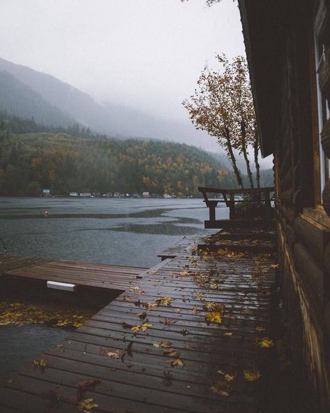 Cabin by the lake Forest, Lake, Water