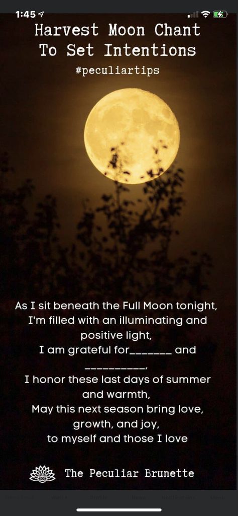 Harvest Moon Manifestation, Harvest Moon Prayer, Harvest Moon Ritual Wicca, Full Harvest Moon Rituals, Harvest Moon Intentions, Harvest Moon Crystals, Harvest Moon Witchcraft, Harvest Moon Recipes, Harvest Moon Spells