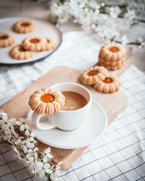 Baking Bad, Food Photography Dessert, Cookie Pictures, Cookies Branding, Cooking Cookies, Dessert Bites, Sugar Free Cookies, Holiday Dessert Recipes, Cake Photography