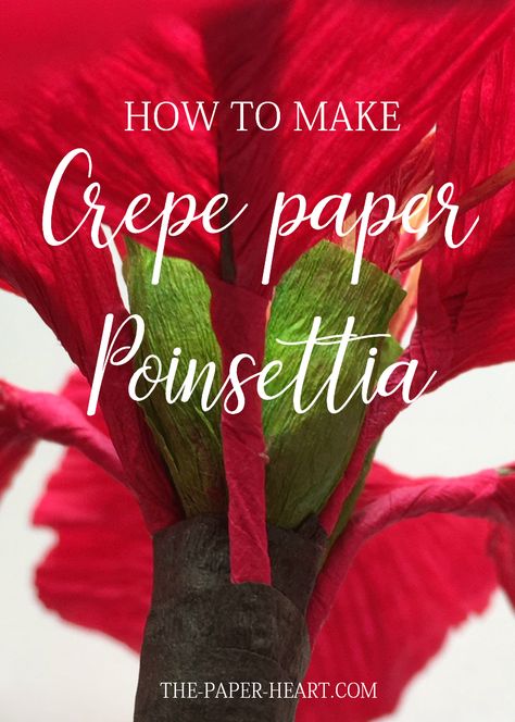 Free tutorial♥  Because Christmas is the time to create beautiful memories together ♥ #crepepaper #paperflowers #Christmastogetner #howto #DIY #tutorial #freetutorial #family #memories #handmade #lesson #instructions Christmas Flowers Diy, Faux Flowers Decor, Crepe Paper Decorations, Paper Poinsettia, Big Paper Flowers, Christmas Flower Decorations, Poinsettia Plant, Paper Flower Wreaths, Paper Flower Garlands