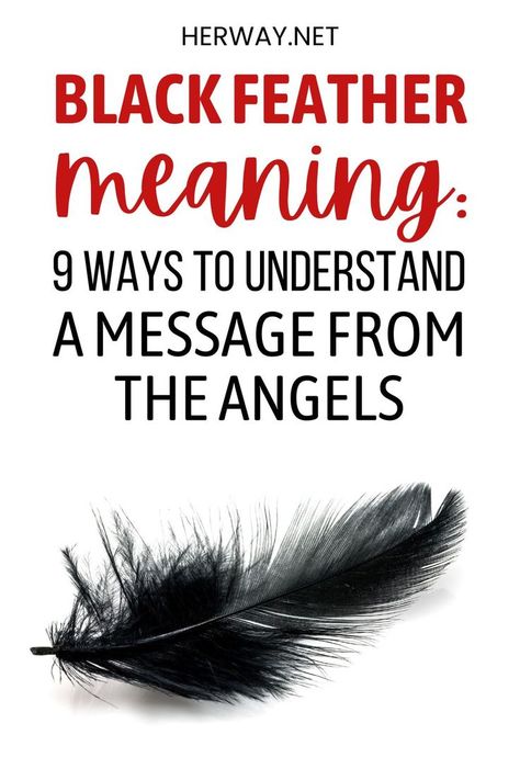 What is finding a black feather meaning? In this article, we will tell you all about its spiritual, angelic, and biblical meaning. Finding Black Feather Meaning, Meaning Of Black Feather, Black Feather Spiritual Meaning, Feather Meaning Spiritual, Finding A Black Feather Meaning, Spiritual Meaning Of Feathers, Feathers Spiritual Meaning, Crow Feather Meaning, Black And White Feather Meaning