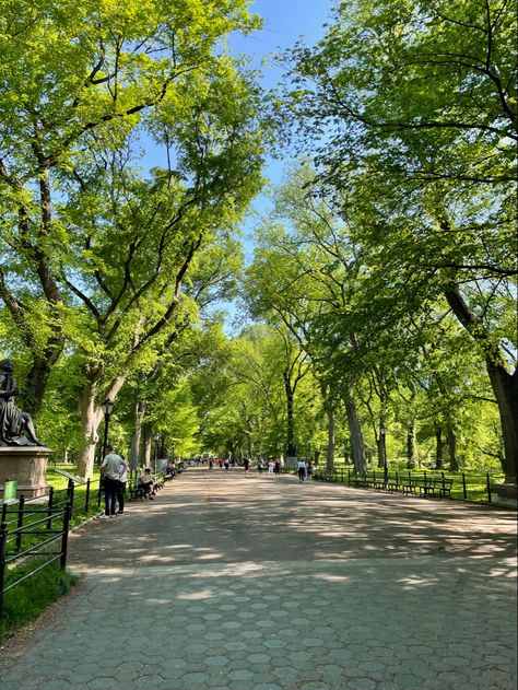 Central Park From Above, Witches Apartment, Park Bloxburg, Daybed Inspiration, New York Facts, Central Park Aesthetic, New York Park, Bloxburg City, Drawing Backgrounds