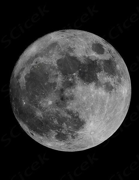 Learn how to paint the moon with black & white acrylic paint and a black canvas. This realistic moon tutorial is easy peasy for beginners too. Easy Moon Paintings For Beginners, How To Paint The Moon, Moon Painting Tutorial, Moon Tutorial, Gift Painting, Glass Creations, White Moon, Moon Drawing, Learn How To Paint