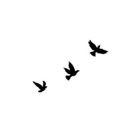 Three Black Birds Tattoo, Small Birds Flying Tattoo, Tattoo Fonts For Names, Three Bird Tattoo, Birds Flying Tattoo, Birds Outline, Bird Outline Tattoo, Three Little Birds Tattoo, Three Birds Tattoo