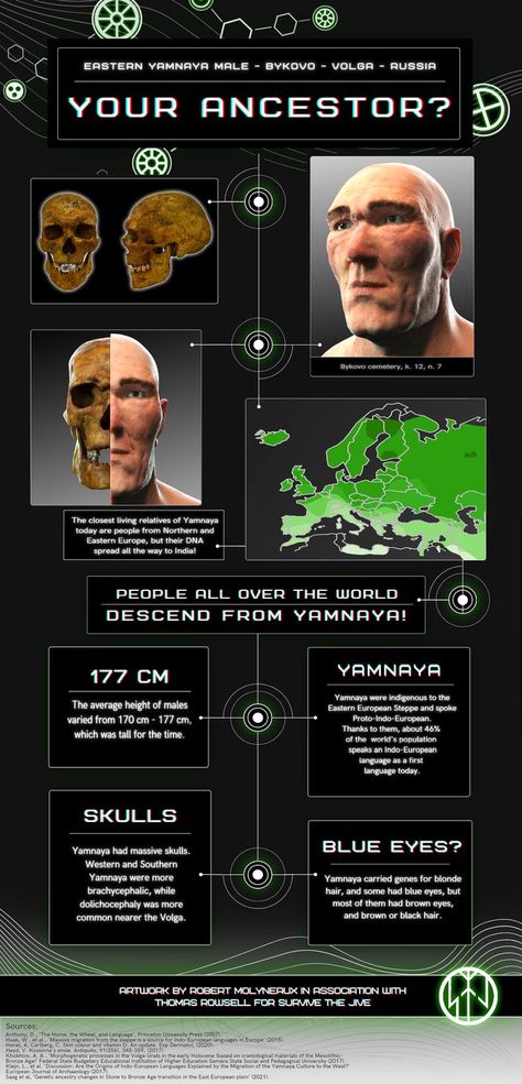 Yamnaya were the original Indo-European speakers who lived on the steppes of Russia and Ukraine Anunaki History, Yamnaya People, Human Civilization Timeline, Bronze Age Europe, Indo European, Ukraine Vs Russia, Eurasian Steppe, European People, African History Facts