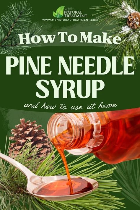 Want to know the pine needle syrup recipe and how to use the pine syrup at home? Continue reading and find out. Pine Syrup, Medicinal Herbs Remedies, Herbal Medicine Recipes, Diy Herbal Remedies, Herbal Remedies Recipes, Medicinal Herbs Garden, Medical Herbs, Herbal Recipes, Herbal Tinctures