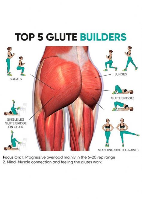 Glute Building, Glute Exercises, Home Exercise Program, Buttocks Workout, Leg And Glute Workout, Home Exercise Routines, Workout Without Gym, Body Workout Plan, Weight Workout Plan