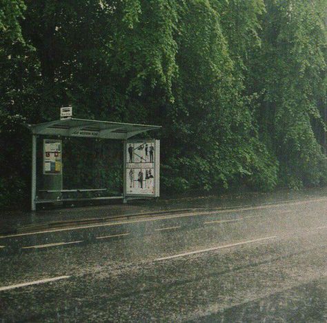 paisagem verde vibes aesthetic chuva soft summer Rain Header, Notion Icons, Dark Naturalism, Rainy Day Aesthetic, I Love Rain, Creepy Stuff, Rainy Night, Tablet Wallpaper, Aesthetic Japan