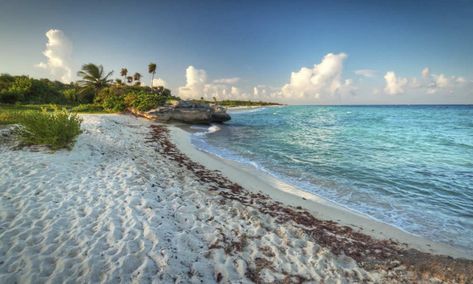 Playa Norte en Campeche Best Honeymoon Destinations, Mexico Hotels, Best Honeymoon, Vacation Places, Mexico Travel, Places Around The World, Cancun, Scuba Diving, Wonderful Places