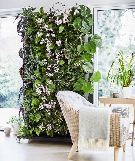 The Living plant wall is one of the hottest new gardening trends of 2018. Create your own piece of plant heaven with this step-by-step guide from Dobbies Plants On The Wall, Living Wall Indoor, Living Wall Planter, Indoor Plant Wall, Interior Boho, Gardens Of Babylon, Vertical Garden Indoor, Living Room Plants, Gardening Trends