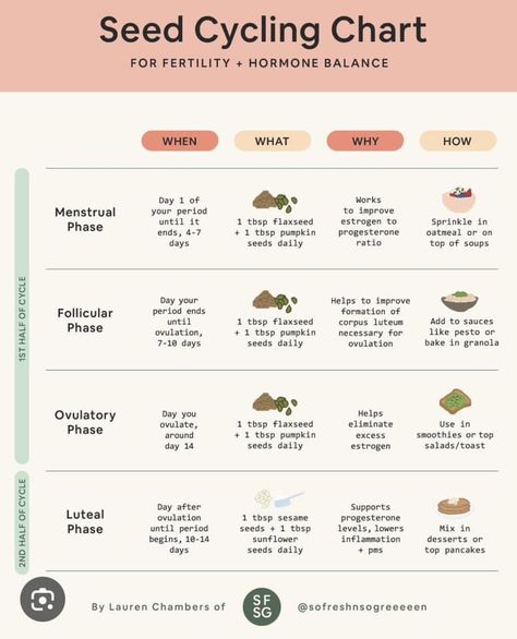 Womb Care, Ovulation Phase, Seed Cycling, Daily Day, Pumpkin Oatmeal, Hormone Balancing, Flax Seed, Fertility, Nutrition