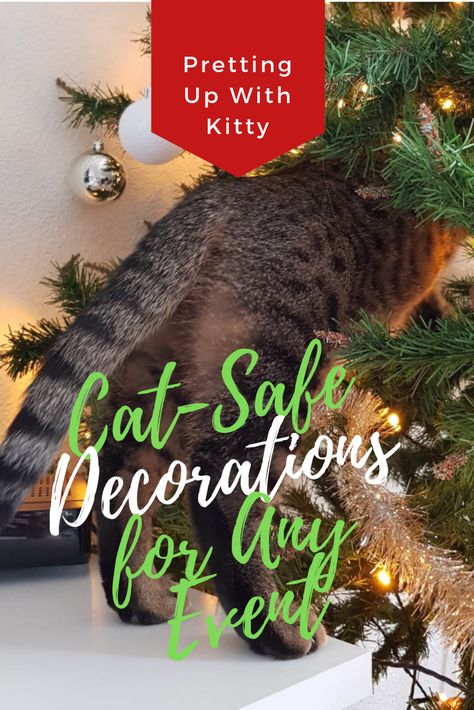 Cat Safe Christmas Decorations, Cat Proof Christmas Decorations, Cat Friendly Christmas Decorations, Cat Safe Christmas Tree, Christmas With Cats, Space Cat Art, Living Spaces Sectional, Living Spaces Sofa, Christmas Decorations Apartment