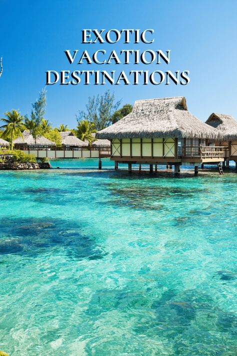 Overwater Bungalows in the Maldives with crystal-clear water in the foreground. Text overlay says "Exotic Vacation Destinations." New Years Vacation Ideas, Exotic Places To Travel, Asia Vacation, Exotic Vacation Destinations, Paradise Places, Exotic Travel Destinations, Amazing Experiences, Visit Marrakech, Beautiful Vacation Destinations