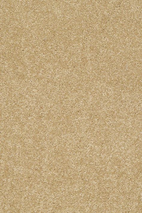 Gold Texture - Sahara Vinyl Flooring Uk, Gold Carpet, Sheet Vinyl Flooring, Shaw Flooring, Shaw Carpet, San Carlo, Carpet Samples, Golden Honey, Carpet Styles