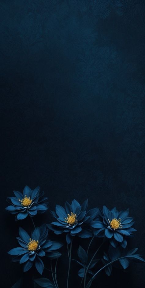 Flower Art Aesthetic Wallpaper, Black And Blue Wallpaper Aesthetic, Pretty Wallpapers Blue, Most Beautiful Wallpapers For Phone, Black Flower Background, Blue Flower Wallpaper Aesthetic, Pretty Wallpapers For Iphone, Blue Black Aesthetic, Black Blue Wallpaper