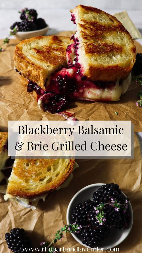 Balsamic Jam, Grilled Cheese Recipes Gourmet, Blackberry Balsamic, Brie Grilled Cheese, Grilled Cheese Recipes, Delicious Sandwiches, Cheese Sandwich, Grilled Cheese Sandwich, Grilled Cheese