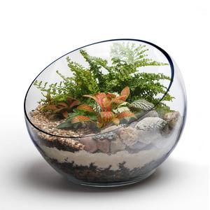 Glass terrarium ideas