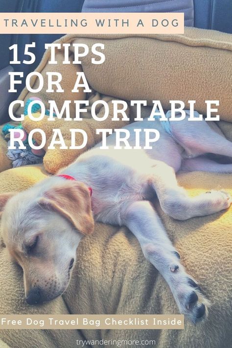 Dog Trip Checklist, Travel With A Dog, Traveling With Pets In Car, Dog Packing List Road Trips, Traveling With A Dog Road Trips, Travelling With Dog, Traveling With Your Dog, Traveling With Dogs Road Trips, Road Trips With Dogs