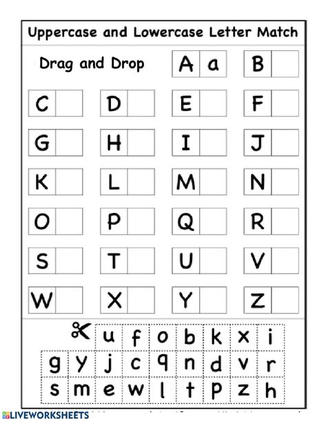 Capital and Common letters online worksheet for Reception/Kendergarten. You can do the exercises online or download the worksheet as pdf. Letter Matching Worksheet, Abc Order Worksheet, Letter Worksheets For Preschool, Sequencing Worksheets, Abc Worksheets, Preschool Workbooks, Cut And Paste Worksheets, Matching Worksheets, Free Preschool Worksheets