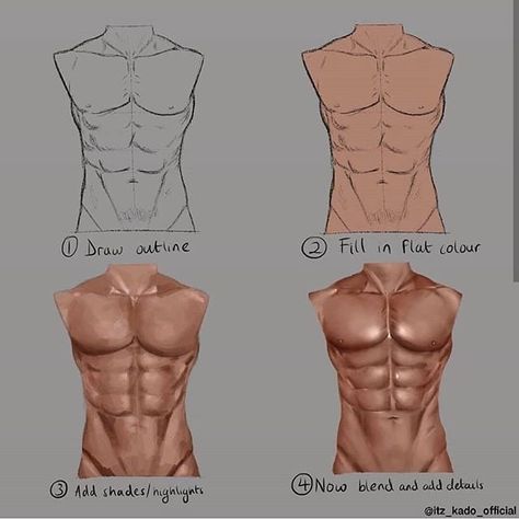 Torso Anatomy, Male Torso Anatomy, Digital Art Programs, Male Body Drawing, Shading Drawing, Digital Painting Techniques, Male Torso, Body Drawing Tutorial, 얼굴 그리기