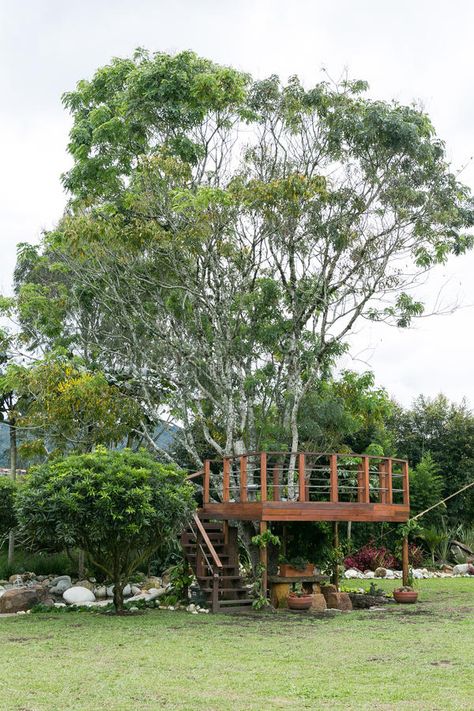 Terrace Around Tree, Tree Deck Platform, Tree Deck Ideas, Deck Around Tree Ideas, Deck Around Tree, Tree Balcony, Tree House Deck, Deck Around Trees, Tree Terrace