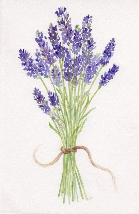 Lavender Artwork, Artwork Watercolor, Lavender Bouquet, Watercolor Paintings Easy, Watercolor Flower Art, Cat Air, Watercolor Flowers Paintings, Painting Art Projects, Lavender Flowers