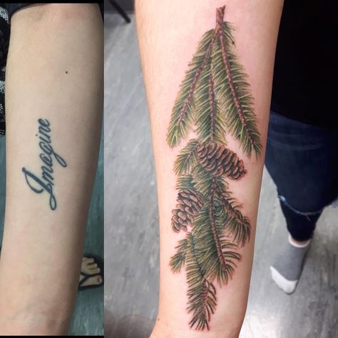 Tree Branch Tattoo, Cute Coverups, Branch Tattoo, Pine Tree Tattoo, Pine Branch, Cover Up Tattoo, Tree Tattoo, Maple Leaf Tattoo, Tree Branches