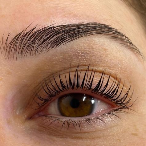 Lash Lifts And Tint, Lash Lift Aesthetic, Natural Lash Lift, Eye Lash Lift, Lashes Lift, Lift Lashes, Lashes And Eyebrows, Lash Lift And Tint, Eyelash Lift And Tint