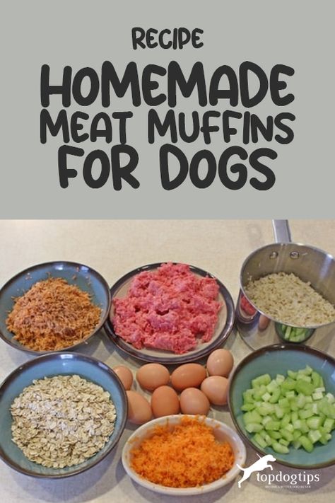 Are you tired of feeding your Fido the same old kibble every day? Give them a tasty and nutritious meal with our homemade meat muffins recipe! Packed with protein and flavor, these muffins will have your pup begging for more! Muffins For Dogs, Meat Muffins, Pumpkin And Peanut Butter, Easy Homemade Cheese, Dog Food Recipes Crockpot, Gluten Free Dog Treats, Dog Treats Homemade, Pretty Pets, Pet Treats Recipes