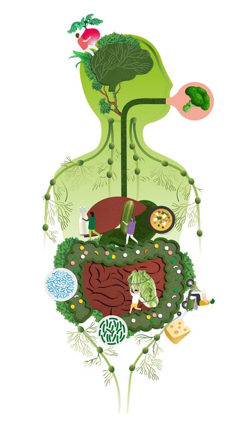 Nutrition Poster, Illustration Infographic, Illustrator Design Tutorial, Nutrition Science, Advertising Illustration, Art Web, Nutrition And Dietetics, Food Science, Instagram Frame