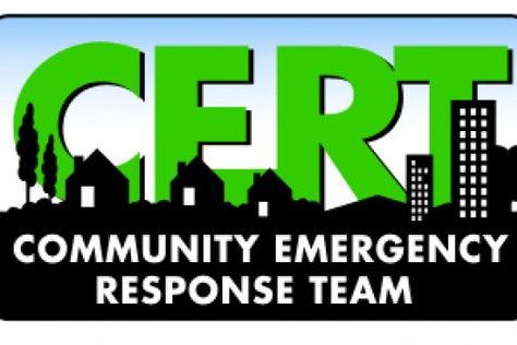 FEMA Community Emergency Response Teams Emergency Response Team, Reflective Decals, Disaster Response, Emergency Management, Disaster Preparedness, Emergency Prepping, Emergency Response, Fire Rescue, Homeland Security